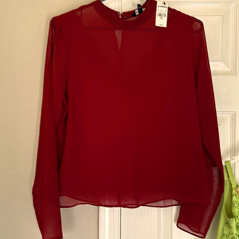 Expresss holiday sheer blouse